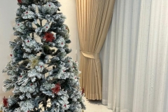 WhatsApp-Image-2024-07-25-at-17.08.57